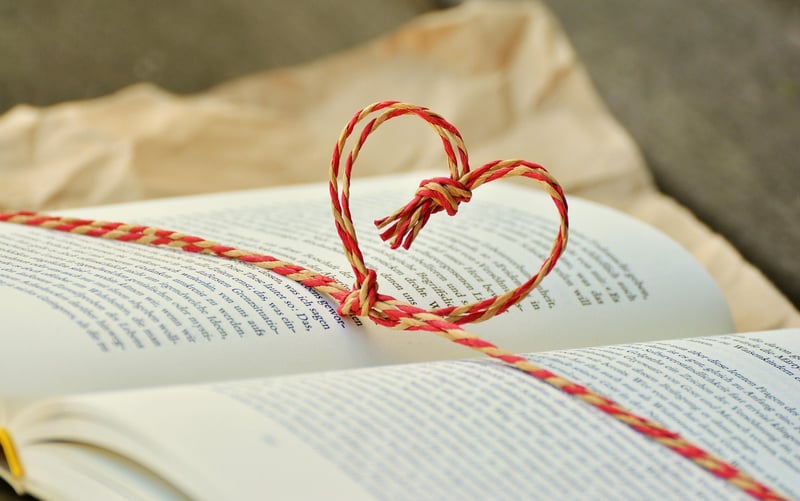 Historical Fiction Book